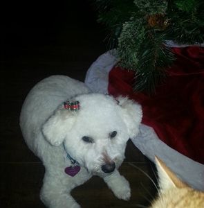 Meet your Posher, Stacey